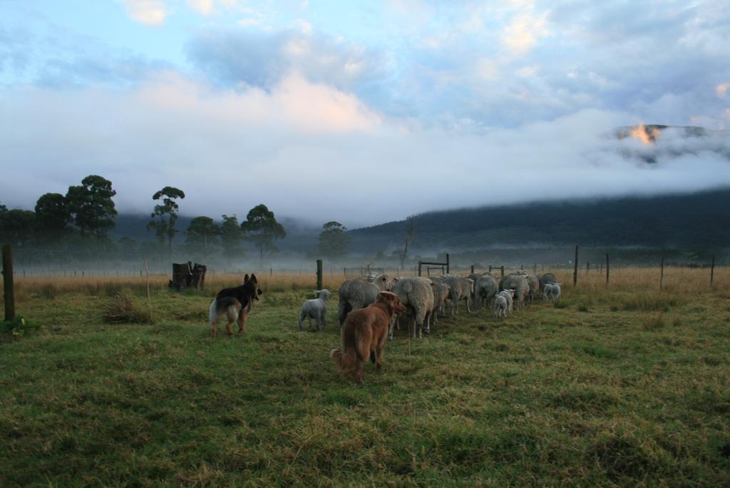 Love Earth Farm Sanddrif Екстер'єр фото